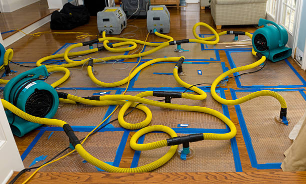 Professional Burst Pipe Water Damage technician working in Shady Cove, OR